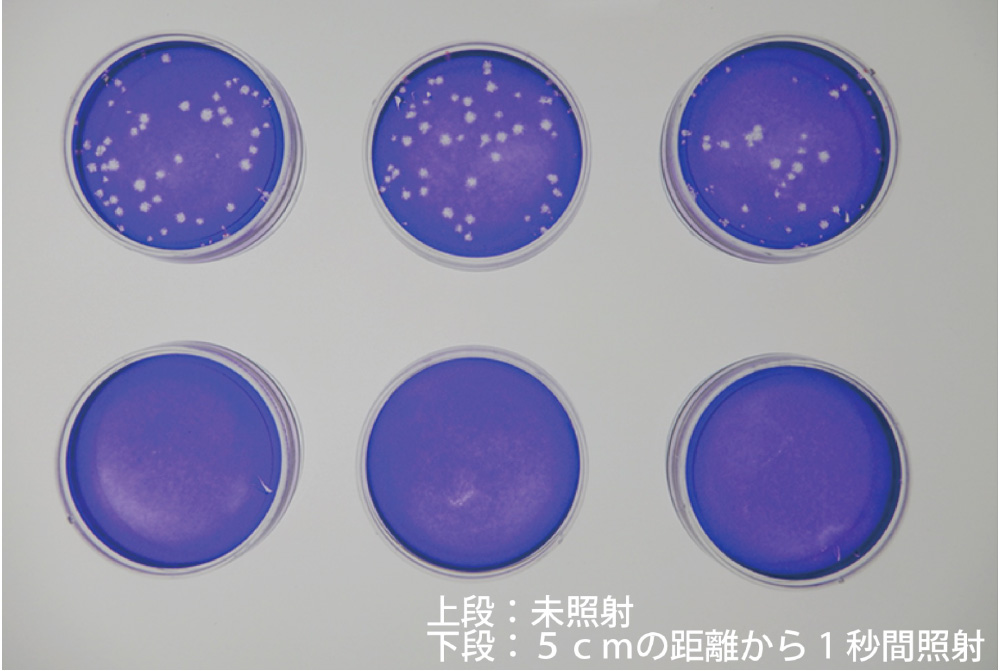 新型コロナウイルス